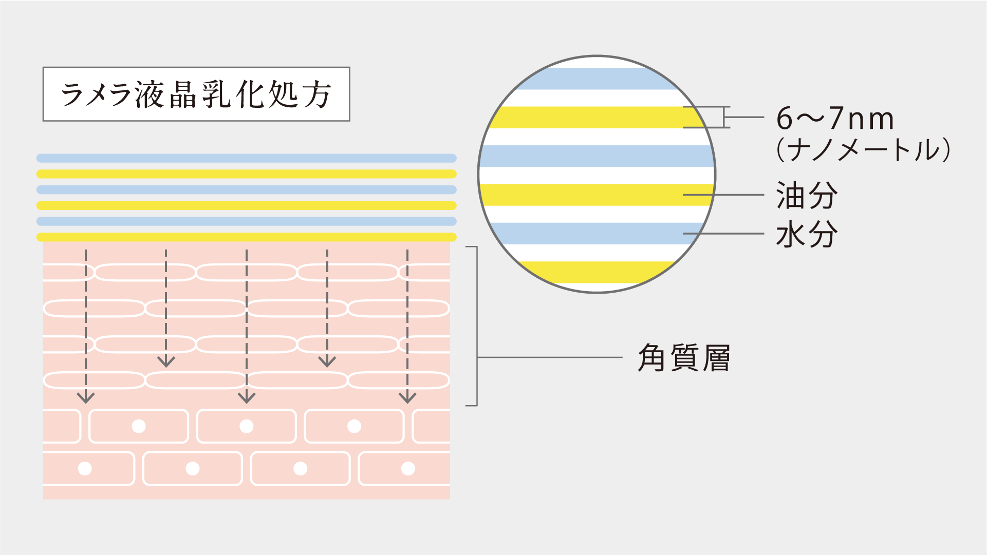 AGE牧田クリニック-ラメラ液晶乳化